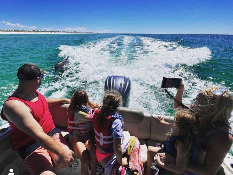 2 Hour Private Dolphin & Snorkeling Tour 1 heritageex dolphin 4 - Panama City Pontoon Rentals and Jet Ski Tours