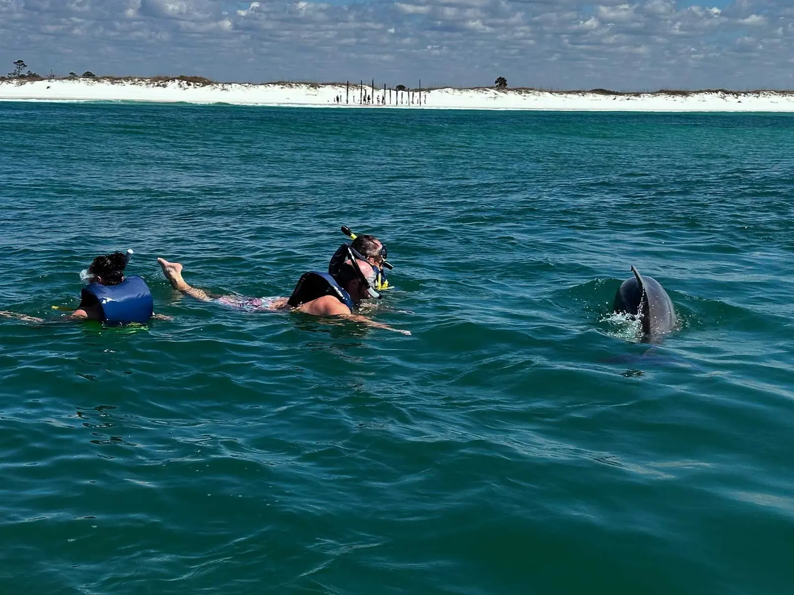 2 Hour Shared Dolphin & Snorkeling Tour 4 family swimming with dolphins