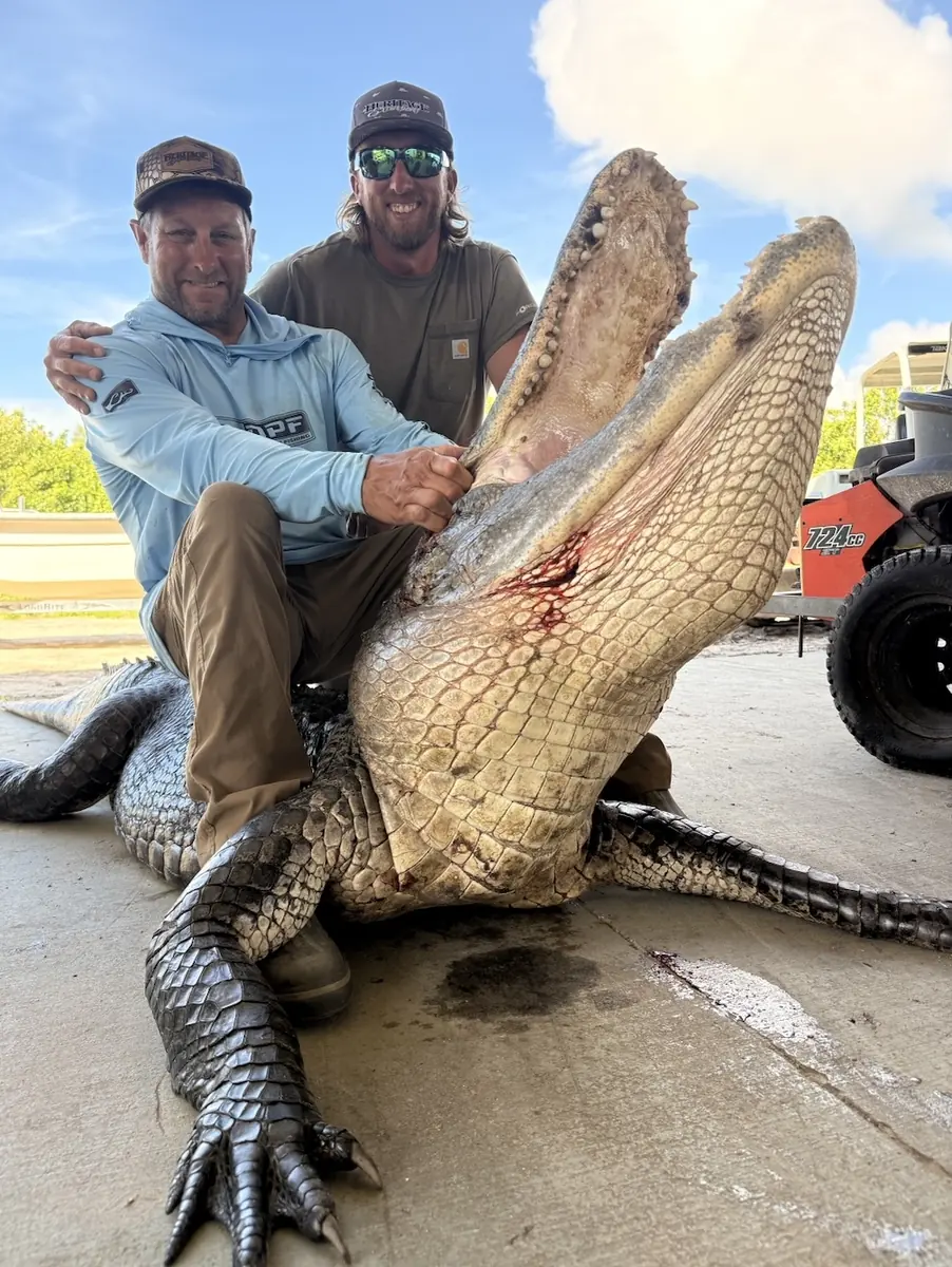 Florida Panhandle Guided Alligator Hunts 5 gator hunt big gator 1 - Panama City Pontoon Rentals and Jet Ski Tours