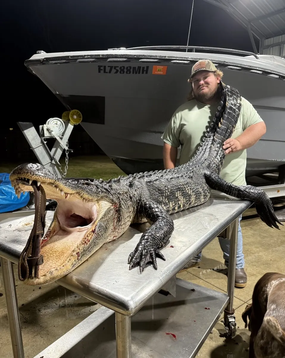 Florida Panhandle Guided Alligator Hunts 8 gator hunt dock 1 - Panama City Pontoon Rentals and Jet Ski Tours