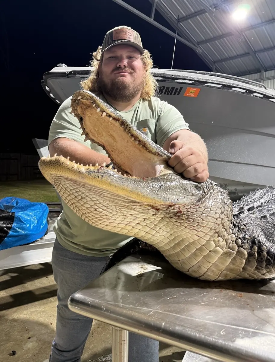 Florida Panhandle Guided Alligator Hunts 6 gator hunt harvest 1 - Panama City Pontoon Rentals and Jet Ski Tours