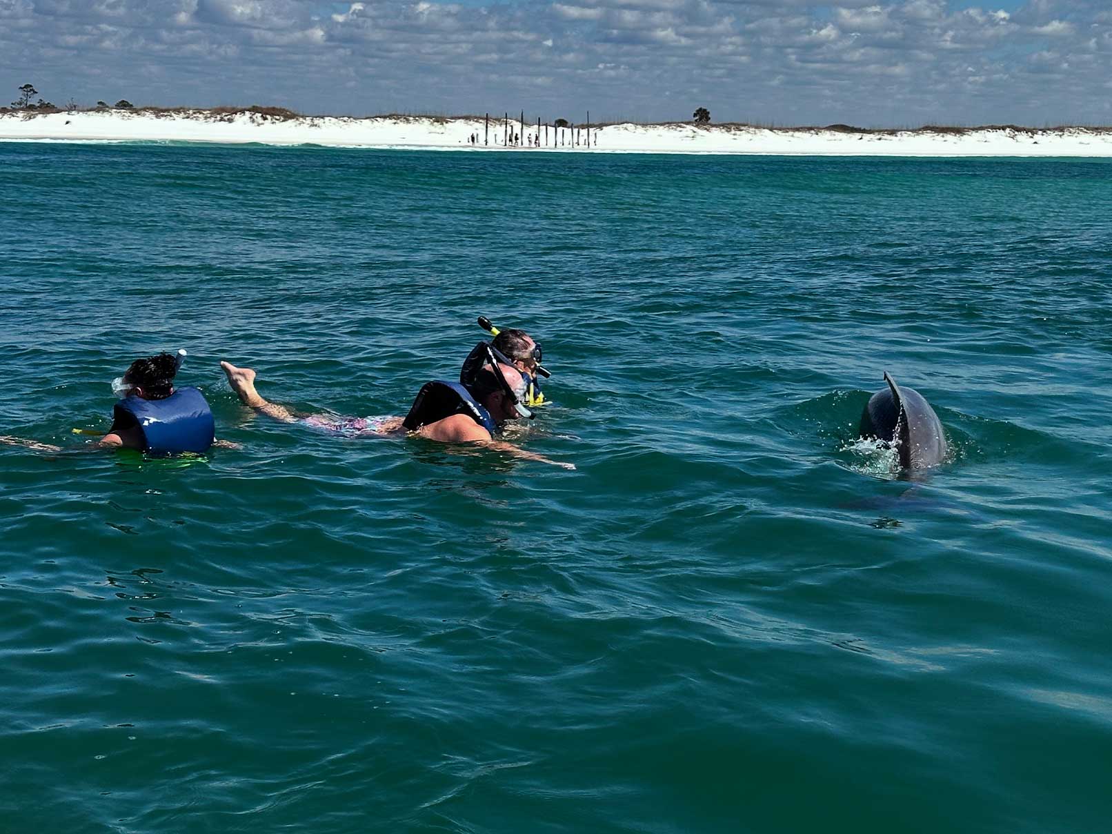 2 Hour Shared Dolphin & Snorkeling Tour 1 heritageex dolphin 1 - Panama City Pontoon Rentals and Jet Ski Tours